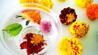 Flower Ice Cubes | 花入りアイスキューブ