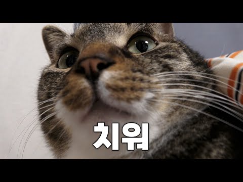 왕부담스러우니까 왕귀엽다