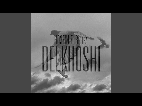 Delkhoshi