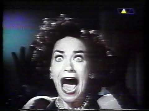 Viva Spezial | 10 Jahre Die Fantastischen Vier 1999