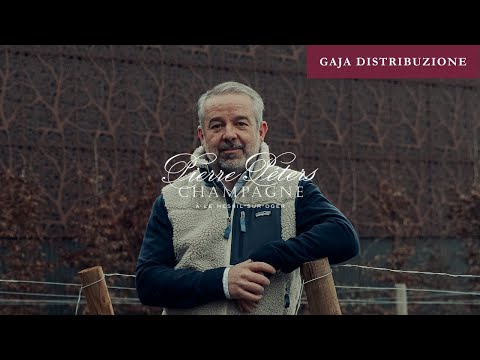 Intervista a Rodolphe Péters di Pierre Péters | Gaja Distribuzione