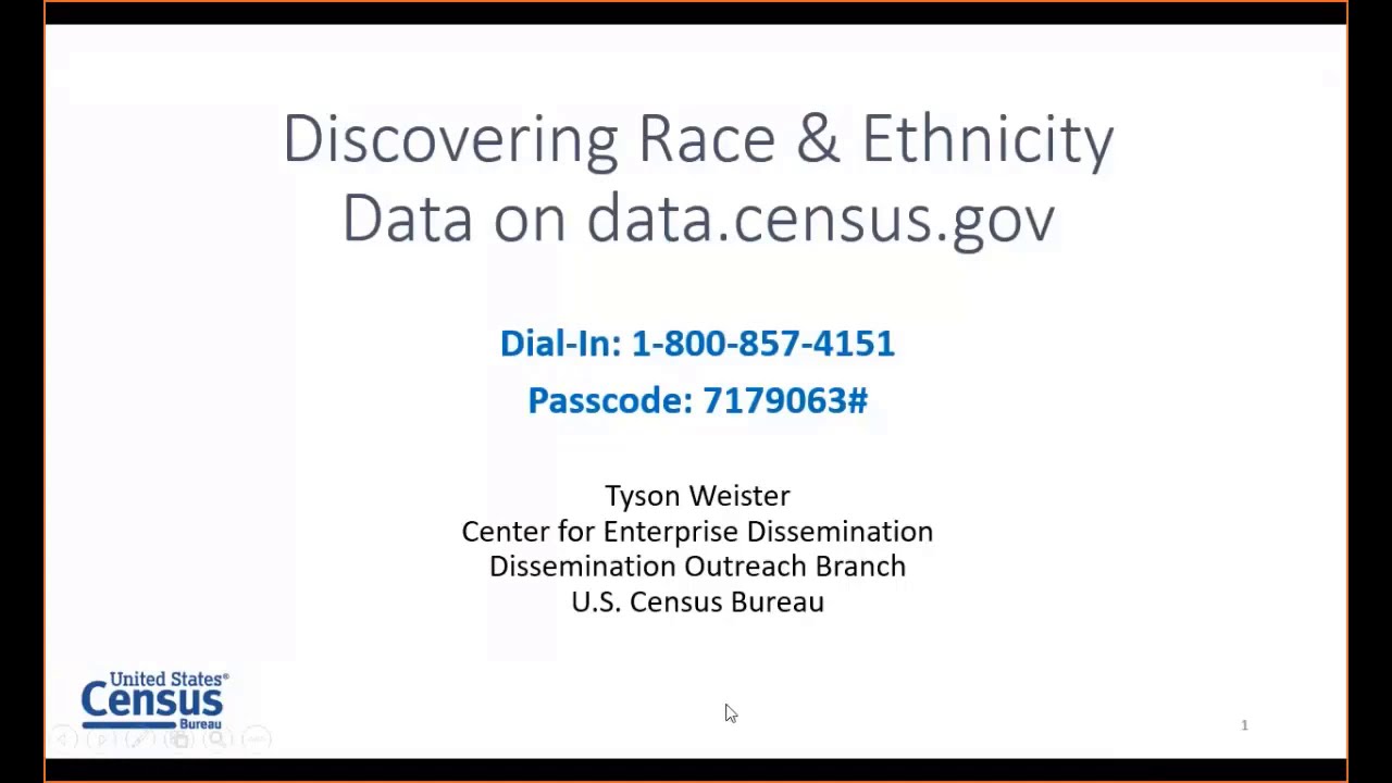 Discovering Race and Ethnicity Data on data census gov