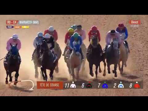 GRAND PRIX SHEIKH ZAYED BIN SULTAN AL NAHYAN CUP - LISTED - MARAKECH RACECOURSE - 07/05/2023