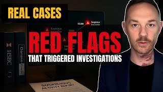 AML Case Studies: Real Red Flags That Triggered Investigations