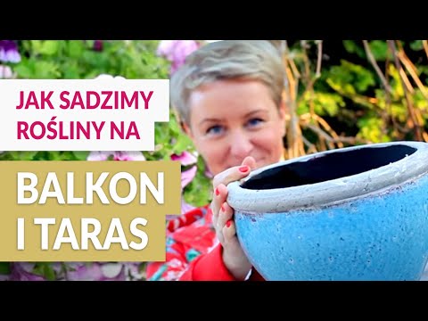 , title : 'Piękne balkony i tarasy - Sadzimy rośliny.'