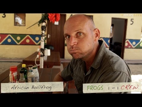 A Call Off: Frogs vs Crew