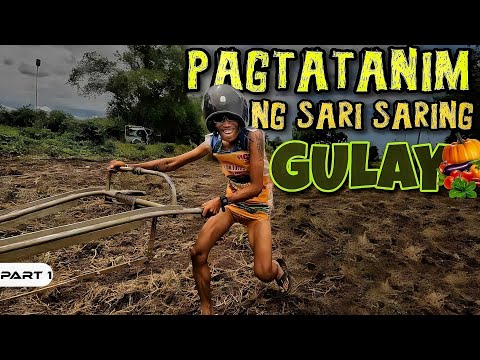 P1-Pagtatanim ng Sari Saring Gulay - EP1030
