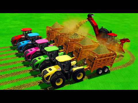 Sugarcane Harvest with Claas Tractors and Full Load Transport to Barn Farming Simulator 25