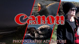 Photography adventure, Cambria CA - stars, elephant seals and otters and amazing views!