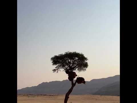 PNL Type Beat 2023 - "SKHOL" - Instru Cloud Rap FREE