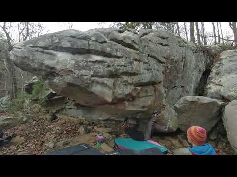 Cookie eating a plate of shit on "Power Prow" V8