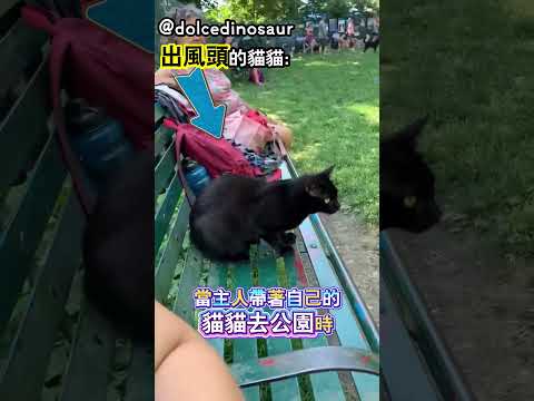 意想不到的勝利者