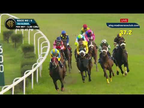 GROOVIN wins The Buckpasser Handicap Div-2