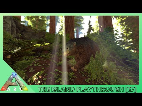 Ark: Survival Evolved - The Island [E7] Dire Bear Taming & Collecting Honey From Beehives