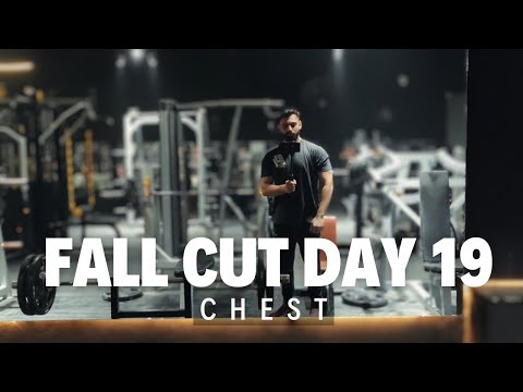 Fall Cut Day 19 -  Chest | Pakistani sam sulek
