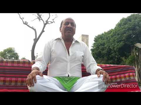 Efecfos del Wachuma o San Pedro