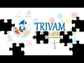 TEAM TRIVAM Web Application Development Chennai