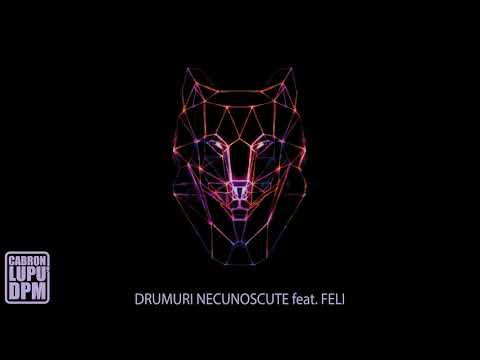 Cabron feat. Feli - Drumuri necunoscute (official track)