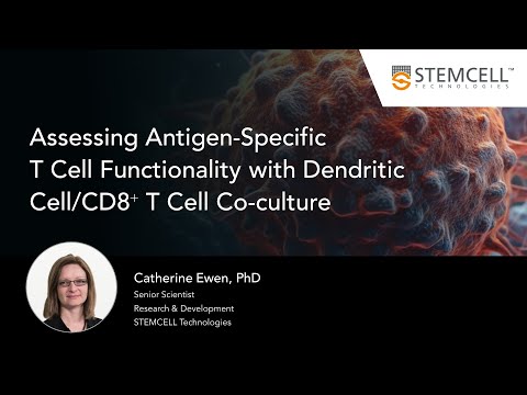 Assessing Antigen-Specific T-Cell Functionality with Dendritic Cell/CD8⁺ T Cell Co-culture