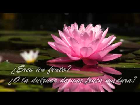 The Life of Pi - Pi's Lullaby (sub español)