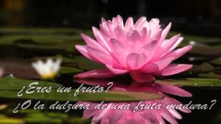 The Life of Pi - Pi's Lullaby (sub español)