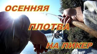 Дни проведенное на рыбалке в счет жизни не идет