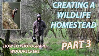 Wildlife Homestead Pt  3 and Photographing Greater Spotted Woodpeckers