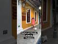 Best Pet Friendly Property In Pondicherry K Resort Shorts Travel Dogs Petfriendly
