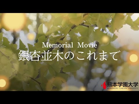 経済学科 銀杏並木のこれまで
