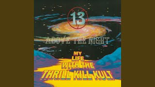 Electrical Soul Wish