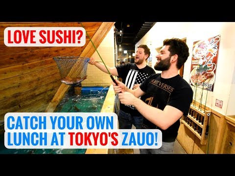 download lagu mp3 mp4 Zauo Fishing Restaurant, download lagu Zauo Fishing Restaurant gratis, unduh video klip Zauo Fishing Restaurant