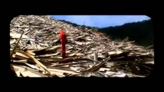 Te vas - El Natty Combo [Video Oficial]