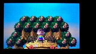 THE MOST SCREWED UP ANIMAL CROSSING NEW LEAF TOWN EVER! LOL