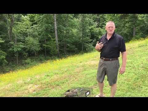 Squirrelinator 2018 (Part 2 of 2)