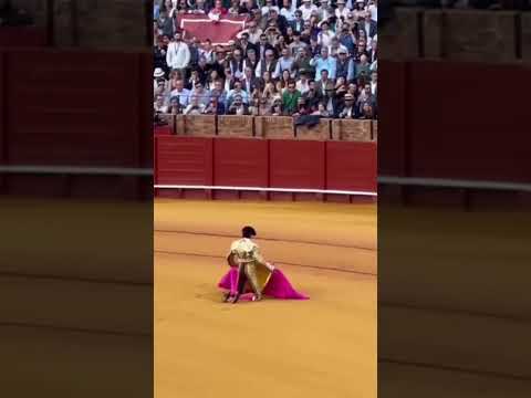 MANOLETE, ARQUITECTO DEL TOREO MODERNO