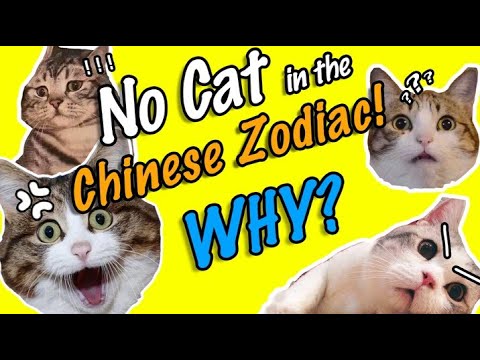Why are there no cats in the Chinese zodiac? —— Learn Chinese Culture | Learn Mandarin