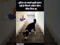 Mai Pal Do Pal Ka Shayar Hu