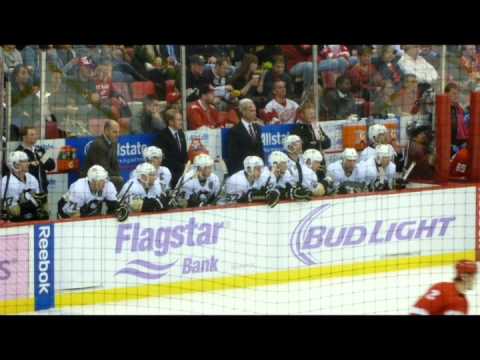 Detroit Red Wings - Pittsburgh Penguins  4:3 v prodl(1:2, 0:1, 2:0 - 1:0)