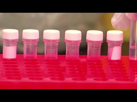 コロナウイルスは5ヶ月間免疫力を与えることができる：研究 (Coronavirus can give immunity for five months: study)