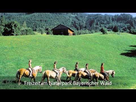 Ferienhaus Mitterdorf, Bayerischer Wald. Urlaub im Bioholzhaus