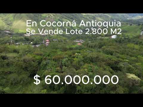 EN COCORNA ANTIOQUIA SE VENDE LOTE 2.800 M2 ECONOMICO