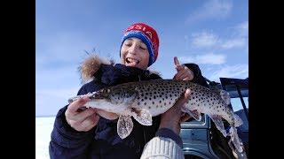Рыбалка в амурской области на зейском водохранилище