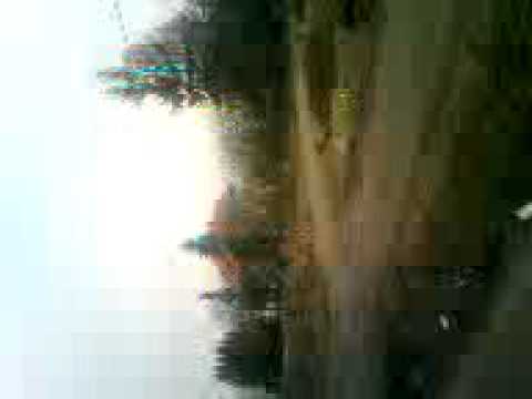 Budowa drogi ekspresowej s-17 Lublin-Piaski