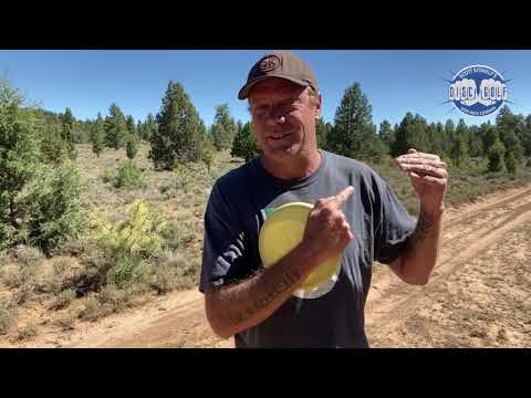 When Should an Amateur Move Up a Division in Disc Golf