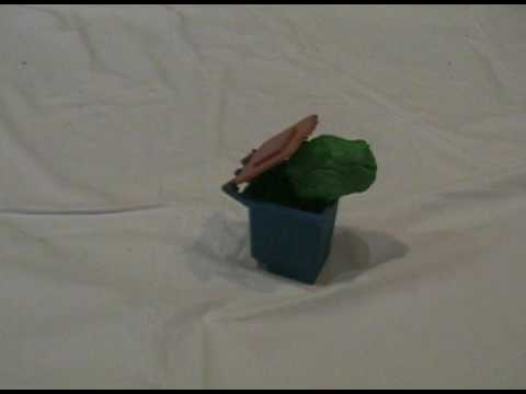 ronel   FreezeFrame animation