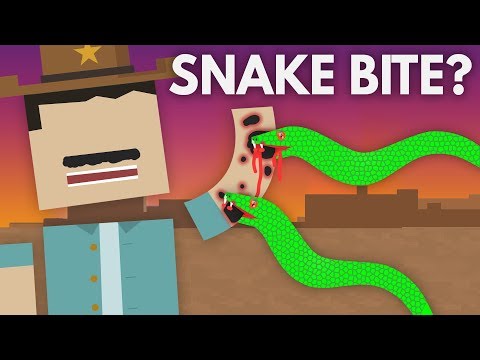 毒蛇に噛まれたらどうする?- 親愛なるブロッコ#8 (What If a Venomous Snake Bites You? - Dear Blocko #8)
