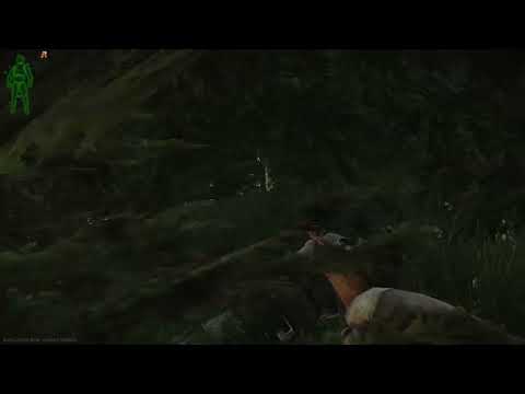 Tarkov shooter pt 4 Escape from Tarkov