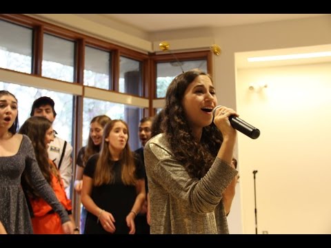 Yo M'enamori (Shir Appeal Spring Show 2017: Shpace)