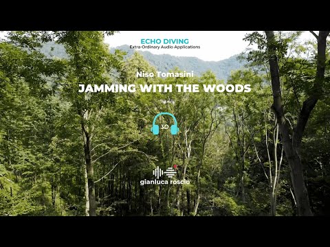 Niso Tomasini - Jamming With The Woods (SPATIAL AUDIO) Echo Diving