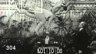 Stock Footage - CIRCUS. FAT VICTORIAN WOMEN ACROBATS. BALANCE ACT / ODD EARLY 1900s SILENT